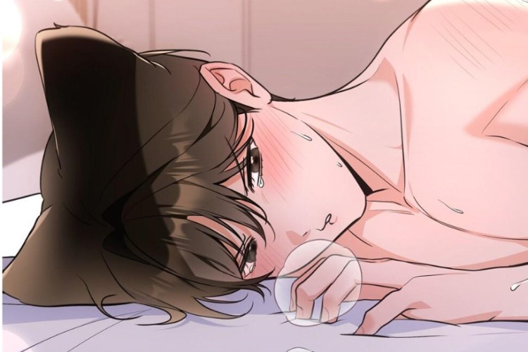 สปอยล์ Manhwa BL Cat Therapy ตอนที่ 29 ภาษาสเปน, โดดองทำได้เพียงยอมแพ้