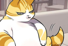 มังงะ RAW Eleceed ตอนที่ 376 ซับไทย ไคเดนมีความเคารพอย่างมากต่อพลังของเกสเตลล่า