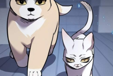 Manhwa RAW Eleceed ตอนที่ 390 ซับไทย ความกังวลของเพื่อนร่วมงาน!