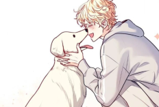 ลิงค์ Manhwa Love is an Illusion! Superstar ตอนที่ 25 ภาษาไทย หลงรักหมามาก หมายถึง หลงรักหมามาก